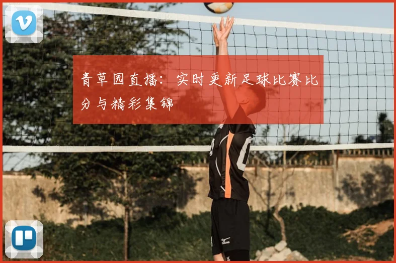 青草园直播：实时更新足球比赛比分与精彩集锦